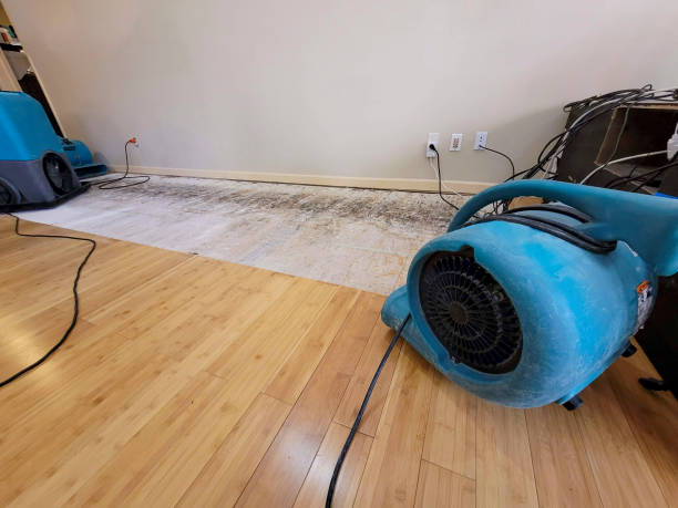 Professional Sewage Cleanup technician working in Darien, WI